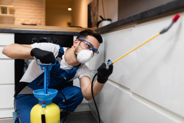 Best Ant Control Services  in Monticello, AR