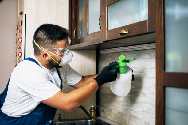 Best Rat Extermination Near Me  in Monticello, AR