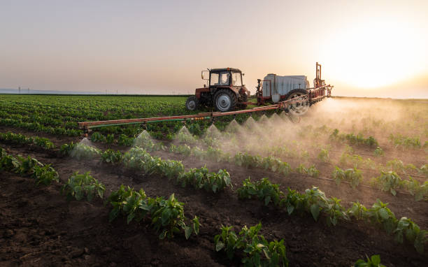 Best Pest Prevention Services  in Monticello, AR