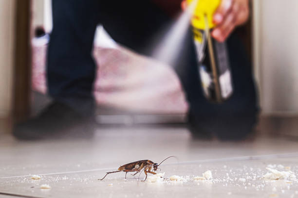 Best Pest Removal Services  in Monticello, AR