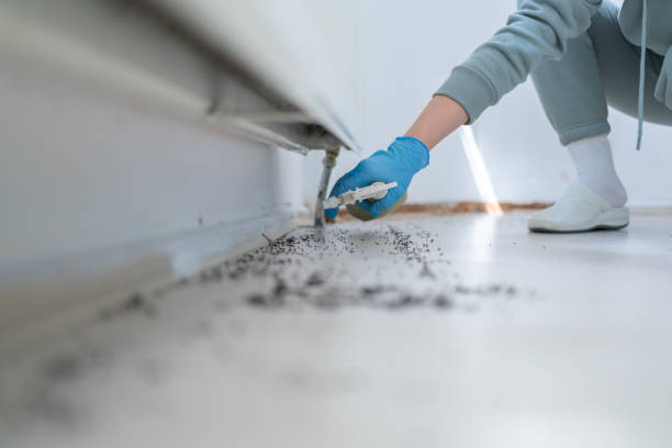 Best Local Pest Control Services  in Monticello, AR